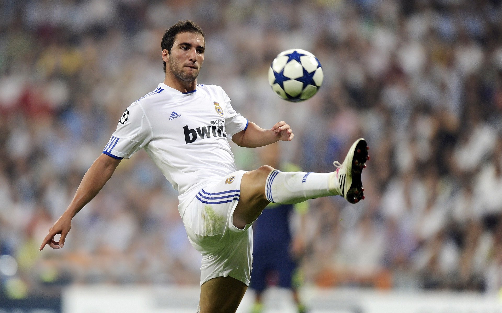 以足球为题材的动漫和漫画作品受到年轻粉丝喜爱,所有关于足球的动漫