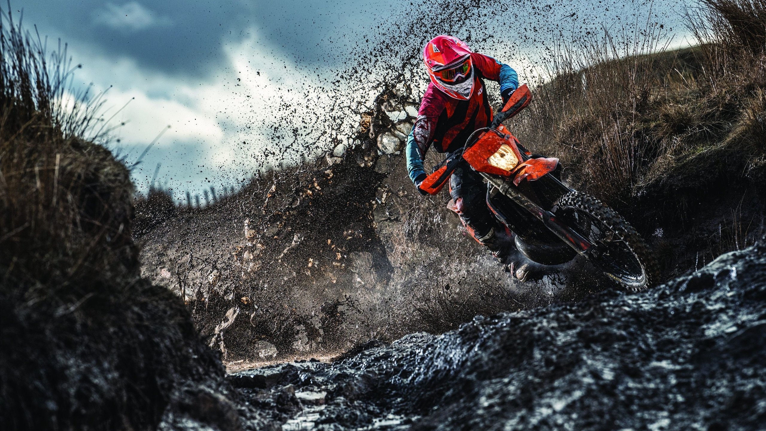 球员赛季表现持续增长,本赛季球员数据